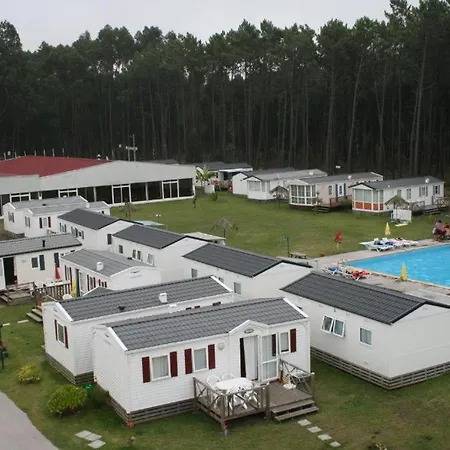 T3 Renata * Burinhosa